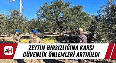 Zeytin Hırsızlığına Karşı Güvenlik Önlemleri Artırıldı