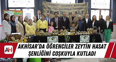 Akhisar'da Öğrenciler Zeytin Hasat Şenliğini Coşkuyla Kutladı