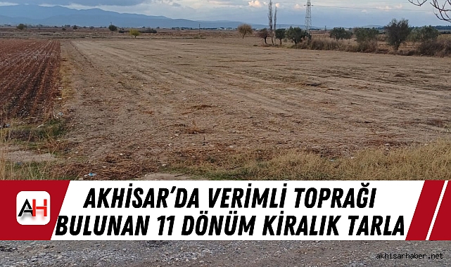 Akhisar’da verimli toprağı bulunan 11 dönüm kiralık tarla
