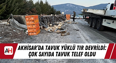 Akhisar'da Tavuk Yüklü Tır Devrildi: Çok Sayıda Tavuk Telef Oldu