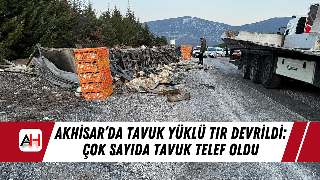 Akhisar'da Tavuk Yüklü Tır Devrildi: Çok Sayıda Tavuk Telef Oldu