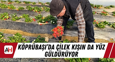 Köprübaşı’da Çilek Kışın da Yüz Güldürüyor