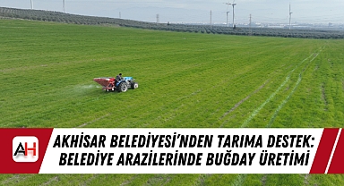 Akhisar Belediyesi'nden Tarıma Destek: Belediye Arazilerinde Buğday Üretimi