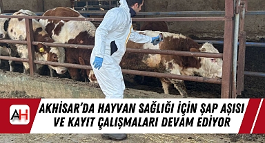 Akhisar'da Hayvan Sağlığı İçin Şap Aşısı ve Kayıt Çalışmaları Devam Ediyor