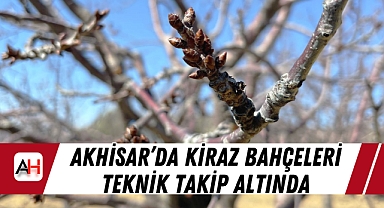 Akhisar'da Kiraz Bahçeleri Teknik Takip Altında