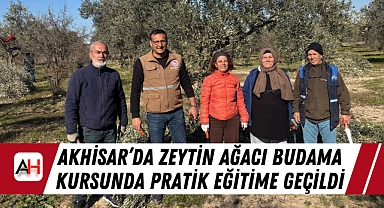 Akhisar'da Zeytin Ağacı Budama Kursunda Pratik Eğitime Geçildi