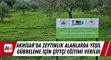 Akhisar'da Zeytinlik Alanlarda Yeşil Gübreleme İçin Çiftçi Eğitimi Verildi