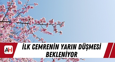İlk cemrenin yarın düşmesi bekleniyor