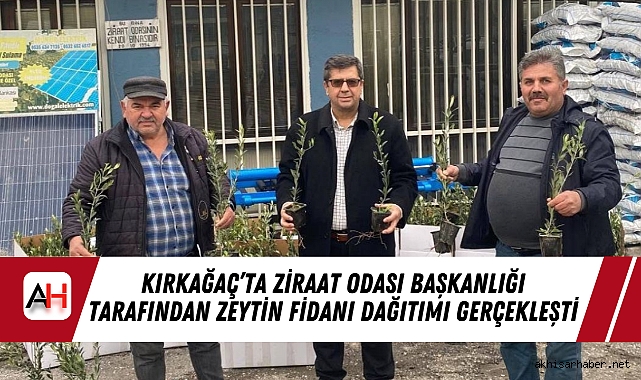 Kırkağaç’ta Ziraat Odası Başkanlığı Tarafından Zeytin Fidanı Dağıtımı Gerçekleşti