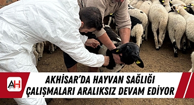 Akhisar'da Hayvan Sağlığı Çalışmaları Aralıksız Devam Ediyor
