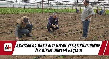 Akhisar'da Örtü Altı Hıyar Yetiştiriciliğinde İlk Dikim Dönemi Başladı