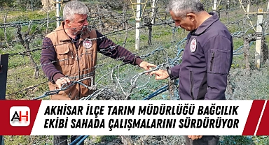 Akhisar İlçe Tarım Müdürlüğü Bağcılık Ekibi Sahada Çalışmalarını Sürdürüyor