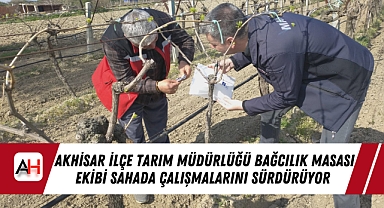 Akhisar İlçe Tarım Müdürlüğü Bağcılık Masası Ekibi Sahada Çalışmalarını Sürdürüyor