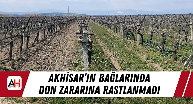 Akhisar'ın Bağlarında Don Zararına Rastlanmadı