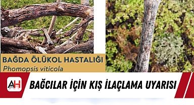Bağcılar İçin Kış İlaçlama Uyarısı
