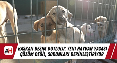 Başkan Besim Dutlulu: Yeni Hayvan Yasası Çözüm Değil, Sorunları Derinleştiriyor