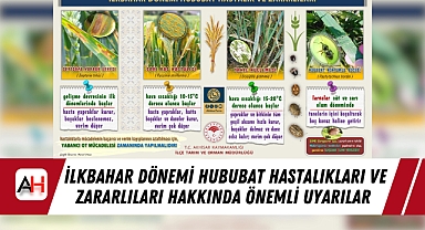 İlkbahar Dönemi Hububat Hastalıkları ve Zararlıları Hakkında Önemli Uyarılar