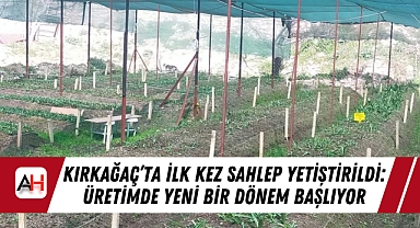 Kırkağaç'ta İlk Kez Sahlep Yetiştirildi: Üretimde Yeni Bir Dönem Başlıyor