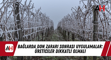 Bağlarda Don Zararı Sonrası Uygulamalar: Üreticiler Dikkatli Olmalı