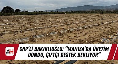 CHP'li Bakırlıoğlu: