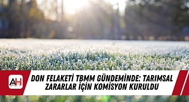 Don Felaketi TBMM Gündeminde: Tarımsal Zararlar İçin Komisyon Kuruldu
