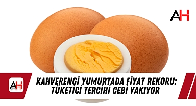 Kahverengi Yumurtada Fiyat Rekoru: Tüketici Tercihi Cebi Yakıyor