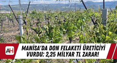 Manisa'da Don Felaketi Üreticiyi Vurdu: 2,25 Milyar TL Zarar!