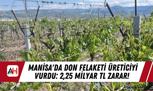 Manisa'da Don Felaketi Üreticiyi Vurdu: 2,25 Milyar TL Zarar!