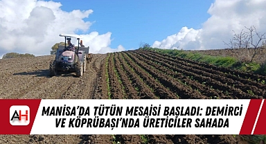 Manisa'da Tütün Mesaisi Başladı: Demirci ve Köprübaşı'nda Üreticiler Sahada