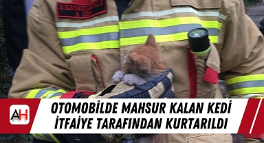 Otomobilde Mahsur Kalan Kedi İtfaiye Tarafından Kurtarıldı