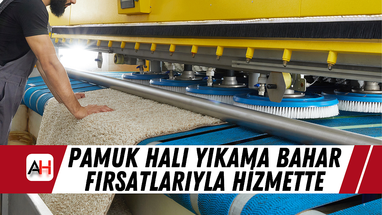Pamuk Gibi Temizlik Artık Çok Daha Ulaşılabilir: Pamuk Halı Yıkama Bahar Fırsatlarıyla Hizmette