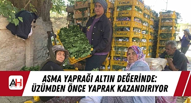 Asma Yaprağı Altın Değerinde: Üzümden Önce Yaprak Kazandırıyor