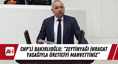 CHP'li Bakırlıoğlu: