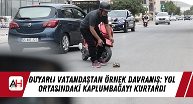 Duyarlı Vatandaştan Örnek Davranış: Yol Ortasındaki Kaplumbağayı Kurtardı