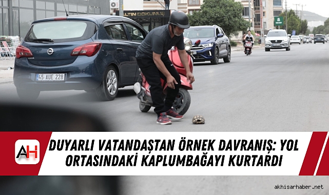 Duyarlı Vatandaştan Örnek Davranış: Yol Ortasındaki Kaplumbağayı Kurtardı