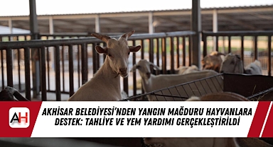 Akhisar Belediyesi’nden Yangın Mağduru Hayvanlara Destek: Tahliye ve Yem Yardımı Gerçekleştirildi