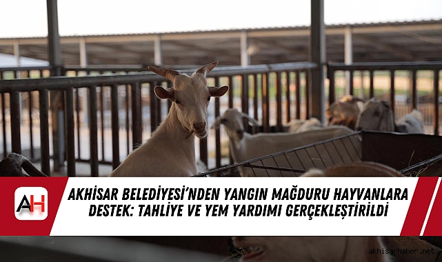 Akhisar Belediyesi’nden Yangın Mağduru Hayvanlara Destek: Tahliye ve Yem Yardımı Gerçekleştirildi