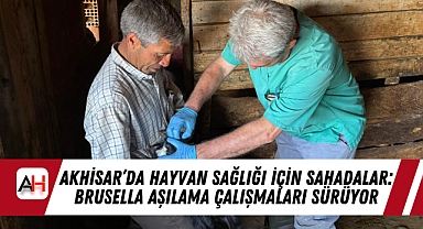 Akhisar'da Hayvan Sağlığı İçin Sahadalar: Brusella Aşılama Çalışmaları Sürüyor