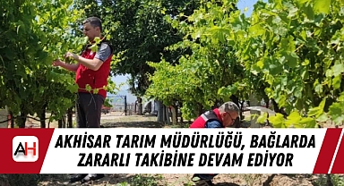 Akhisar Tarım Müdürlüğü, Bağlarda Zararlı Takibine Devam Ediyor