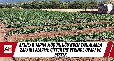 Akhisar Tarım Müdürlüğü'nden Tarlalarda Zararlı Alarmı: Çiftçilere Yerinde Uyarı ve Destek