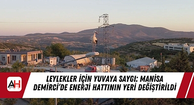 Leylekler İçin Yuvaya Saygı: Manisa Demirci'de Enerji Hattının Yeri Değiştirildi