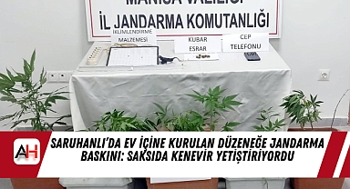 Saruhanlı’da Ev İçine Kurulan Düzeneğe Jandarma Baskını: Saksıda Kenevir Yetiştiriyordu