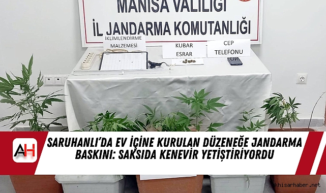 Saruhanlı’da Ev İçine Kurulan Düzeneğe Jandarma Baskını: Saksıda Kenevir Yetiştiriyordu
