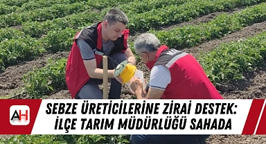 Sebze Üreticilerine Zirai Destek: İlçe Tarım Müdürlüğü Sahada