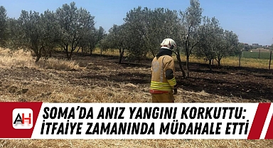 Soma'da Anız Yangını Korkuttu: İtfaiye Zamanında Müdahale Etti