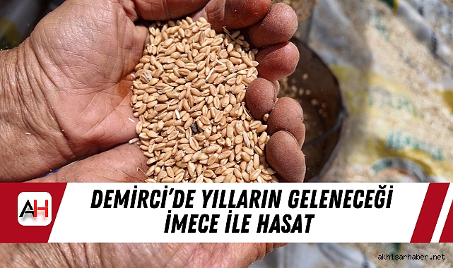 Demirci’de Yılların Geleneceği İmece İle Hasat