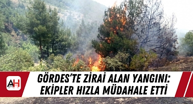 Gördes’te Zirai Alan Yangını: Ekipler Hızla Müdahale Etti