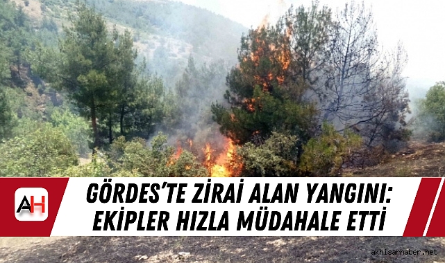 Gördes’te Zirai Alan Yangını: Ekipler Hızla Müdahale Etti