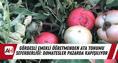 Gördesli Emekli Öğretmenden Ata Tohumu Seferberliği: Domatesler Pazarda Kapışılıyor