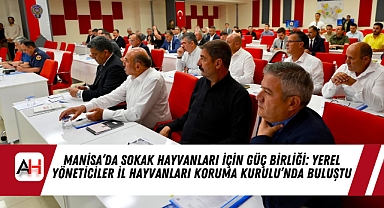 Manisa'da Sokak Hayvanları İçin Güç Birliği: Yerel Yöneticiler İl Hayvanları Koruma Kurulu'nda Buluştu